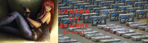 стаф Сатка