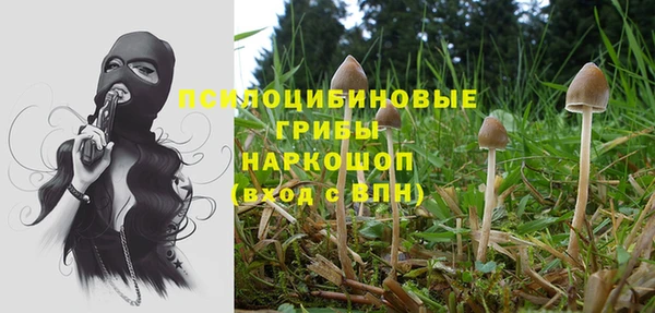 кокс Саяногорск