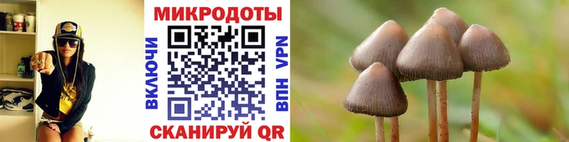 ссылка на мегу зеркало  Сосновоборск  Галлюциногенные грибы MAGIC MUSHROOMS 